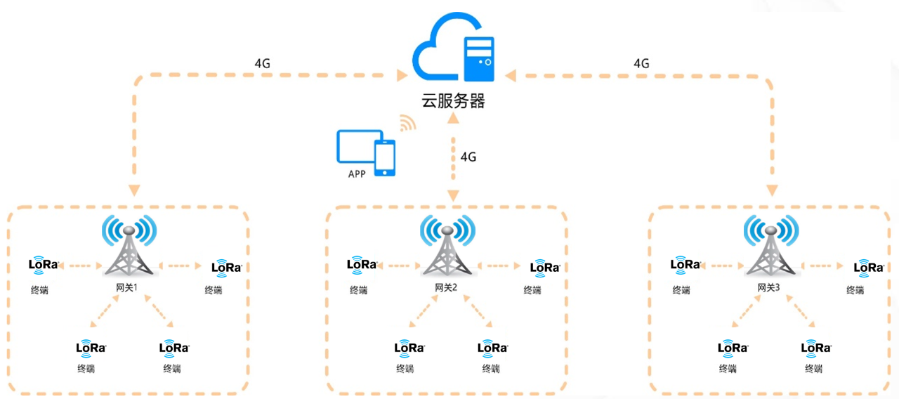 图3 LoRa在小范围内与公网结合的网络结构示意图